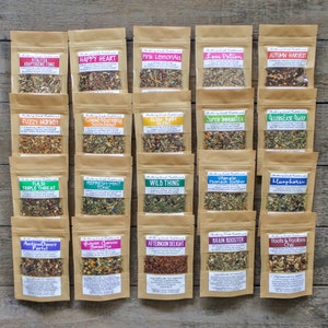 Mix & Match TEA SAMPLER - Choose your own variety pack from our 25 organic herbal tea blends!