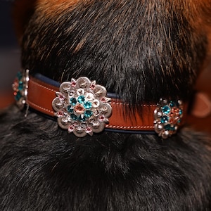 Swarovski Concho Dog Collar - Light Teal & Peach on Antique Silver 18”