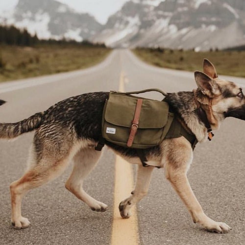 Wolf Republic Ranger Pack Dog Backpack for Hiking and Etsy
