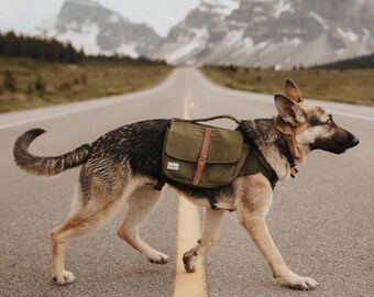 dog backpack harness for hiking