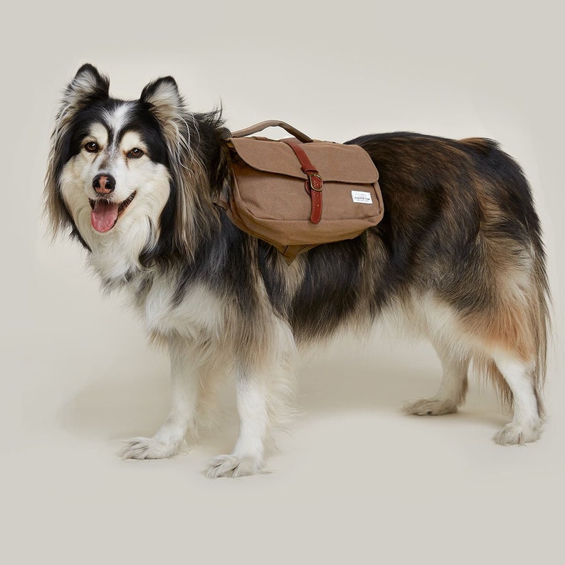 Wolf Republic Ranger Pack Dog Backpack for Hiking and Etsy