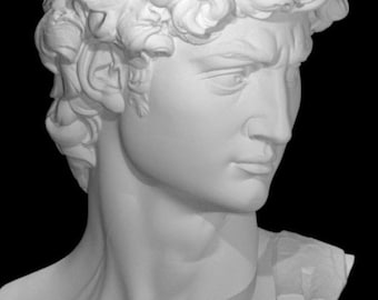 May include: A white plaster bust of a man with curly hair. The bust is a replica of a classical sculpture.