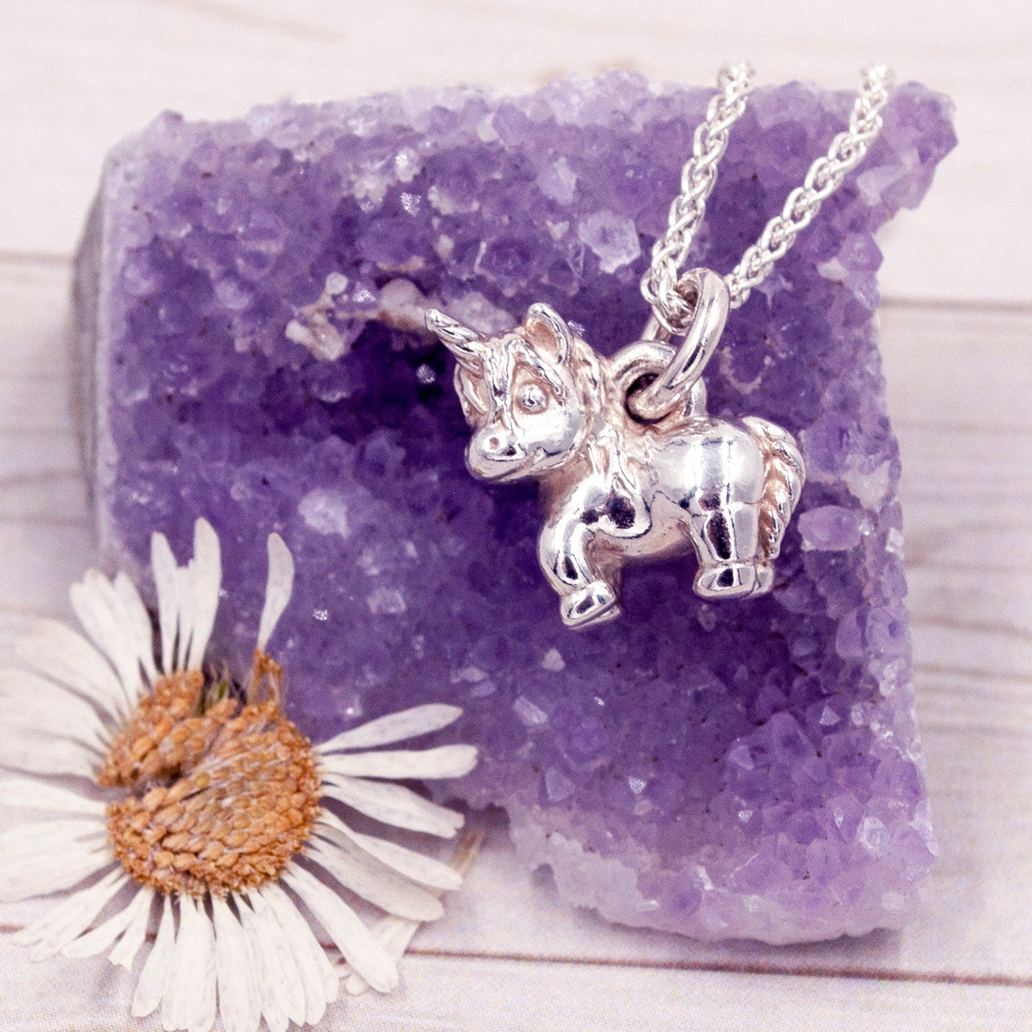 N2750E40 Sterling Silver Unicorn Pendant on Chain – Greymouth Showcase  Jewellers
