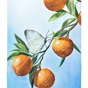 K&ouml;nnte beinhalten: Ein Aquarellgem&auml;lde, das einen Zweig mit vier runden orangefarbenen Fr&uuml;chten und gr&uuml;nen Bl&auml;ttern vor einem hellblauen Hintergrund zeigt. Ein wei&szlig;er Schmetterling mit zarten Fl&uuml;gelmustern sitzt auf dem Zweig zwischen den Orangen.