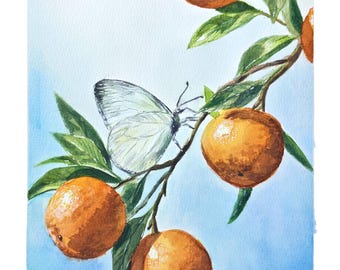 Könnte beinhalten: Ein Aquarellgemälde, das einen Zweig mit vier runden orangefarbenen Früchten und grünen Blättern vor einem hellblauen Hintergrund zeigt. Ein weißer Schmetterling mit zarten Flügelmustern sitzt auf dem Zweig zwischen den Orangen.