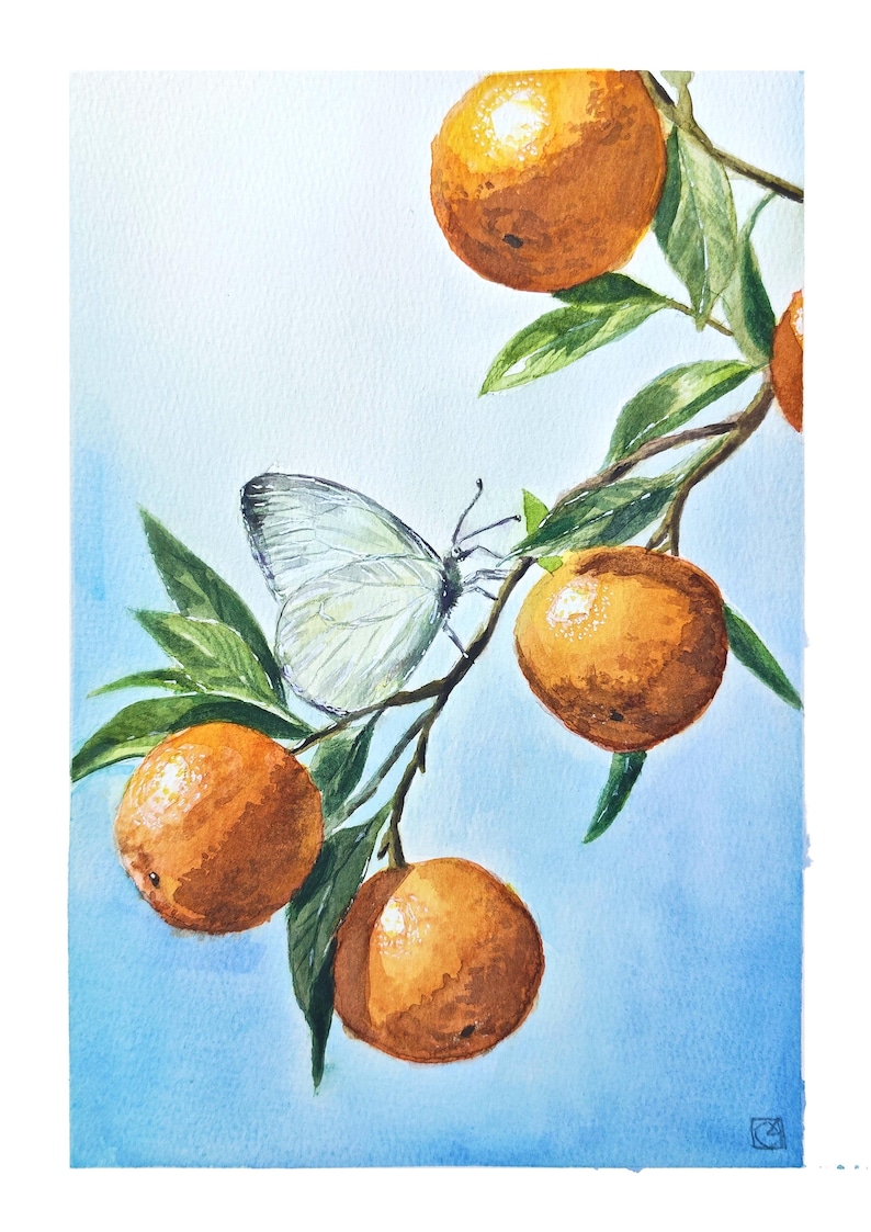 K&ouml;nnte beinhalten: Ein Aquarellgem&auml;lde, das einen Zweig mit vier runden orangefarbenen Fr&uuml;chten und gr&uuml;nen Bl&auml;ttern vor einem hellblauen Hintergrund zeigt. Ein wei&szlig;er Schmetterling mit zarten Fl&uuml;gelmustern sitzt auf dem Zweig zwischen den Orangen.