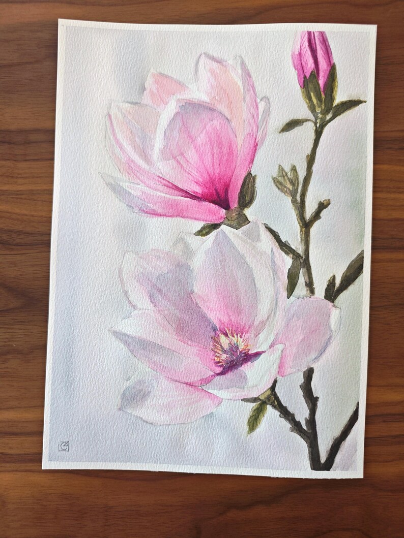 May include: A watercolor painting on textured paper depicting two large, blooming magnolia flowers and one closed bud on a brown branch. The petals transition from deep magenta at the base to soft, pale pink and white at the edges.