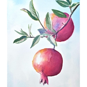K&ouml;nnte beinhalten: Ein Aquarellgem&auml;lde von zwei Granat&auml;pfeln, die an einem Zweig mit gr&uuml;nen Bl&auml;ttern h&auml;ngen. Die Fr&uuml;chte zeigen Schattierungen von tiefem Rot, Rosa und Orange vor einem hellblauen Hintergrund. Eine kleine K&uuml;nstlersignatur ist unten zu sehen.