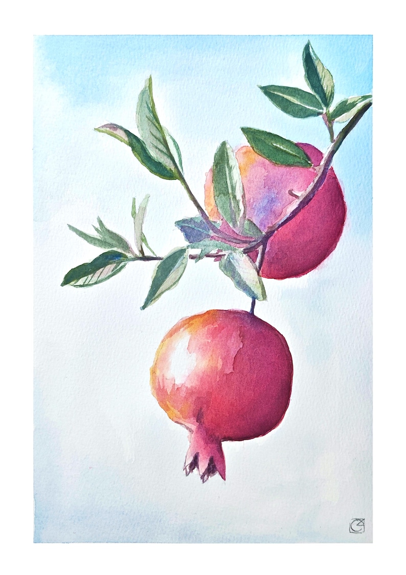 K&ouml;nnte beinhalten: Ein Aquarellgem&auml;lde von zwei Granat&auml;pfeln, die an einem Zweig mit gr&uuml;nen Bl&auml;ttern h&auml;ngen. Die Fr&uuml;chte zeigen Schattierungen von tiefem Rot, Rosa und Orange vor einem hellblauen Hintergrund. Eine kleine K&uuml;nstlersignatur ist unten zu sehen.