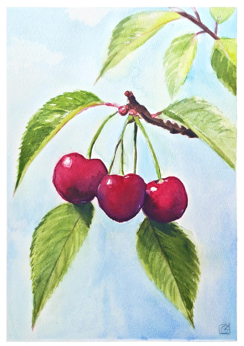 Mediterranean cherry branch — original watercolor painting image 1