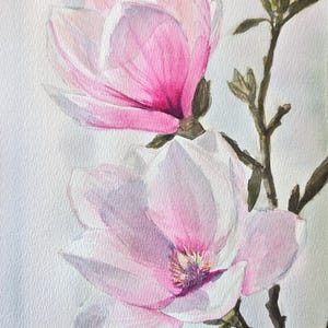 May include: A watercolor painting of two large, open magnolia flowers and one closed bud on a brown branch. The petals transition from deep pink at the base to pale white at the edges. The center of the lower flower shows yellow and purple stamens.