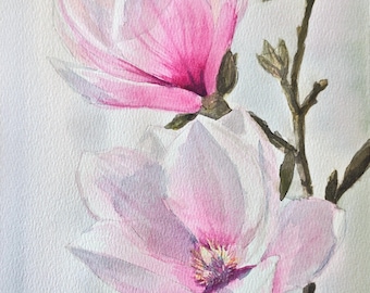 Könnte beinhalten: Ein Aquarellgemälde von zwei großen, geöffneten Magnolienblüten und einer geschlossenen Knospe an einem braunen Zweig. Die Blütenblätter verlaufen von einem tiefen Rosa an der Basis zu einem blassen Weiß an den Rändern. Die Mitte der unteren Blüte zeigt gelbe und violette Staubgefäße.