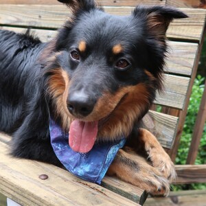 Tie Dye Bandana: Cosmic Purple