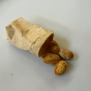May include: A small, open brown paper bag with several oval-shaped, light brown nuts spilling out onto a light gray surface. The nuts have a speckled appearance.