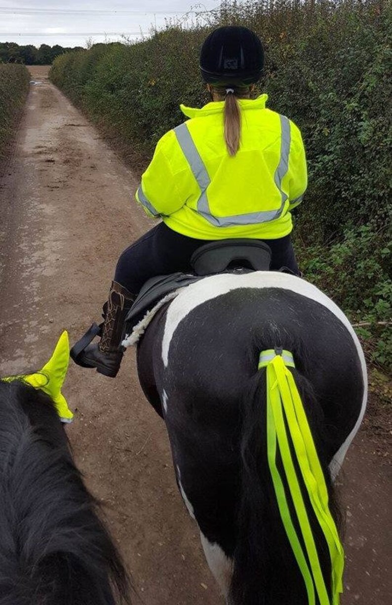HORSE SAFETY STREAMERS. Hi Viz Fluorescent Tail Ribbons. Help Etsy