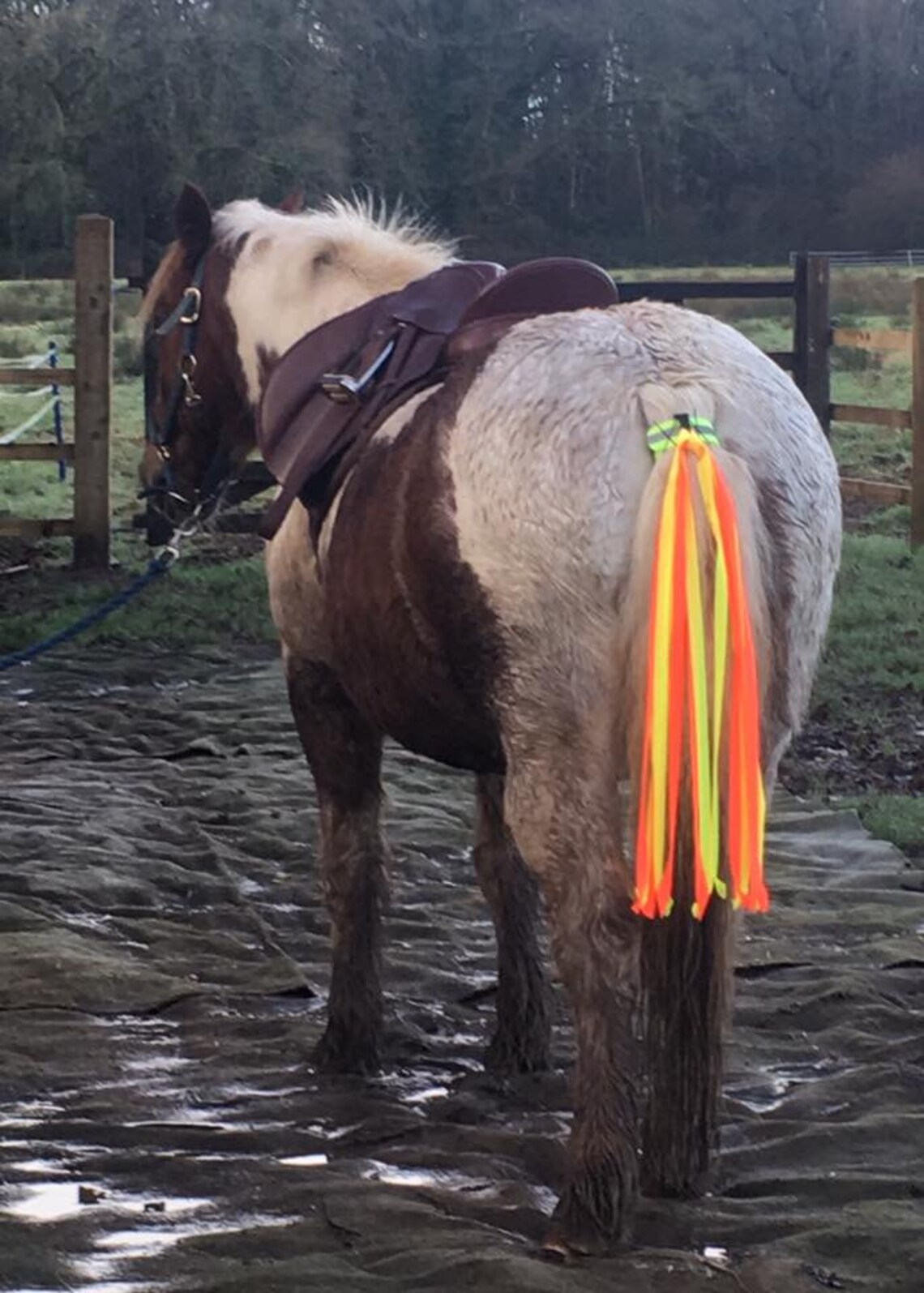 HORSE SAFETY TAIL Streamers. Hi Viz Fluorescent Ribbons. Help Etsy