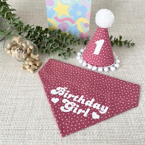 Handmade Dog Birthday Girl Bandana & Hat Set: Pink Dog Accessories