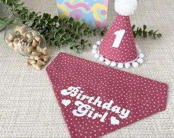 Handmade Dog Birthday Girl Bandana & Hat Set: Pink Dog Accessories