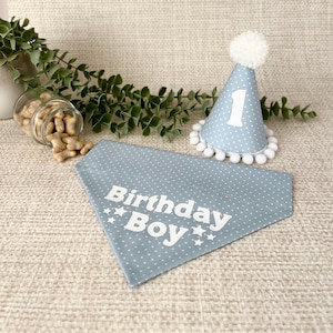 May include: A light blue triangular pet bandana with a white polka dot pattern and the white text Birthday Boy with star accents, paired with a matching light blue cone-shaped party hat featuring a white number 1 and a white pom-pom topper.