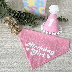 Pink Birthday Girl Dog Bandana and Hat Set - Handmade Pet Birthday Accessories