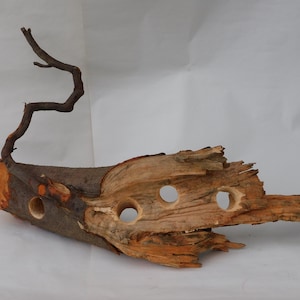 Decoración escultórica única de raíz de aliso natural para acuario Vivarium Terrarium