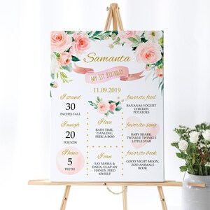 Floral Birthday Milestone Sign, EDITABLE, Printable Baby 1st Birthday Pink Rose Milestone Template, Baby&#39;s First Poster, INSTANT DOWNLOAD