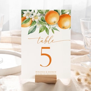 Oranje Citrus Bloemen Tafelnummers | BEWERKBARE afdrukbare tropische bloemen tabelnummersjabloon | Zitkaarten voor babyshowers, bruiloften, bruiloften