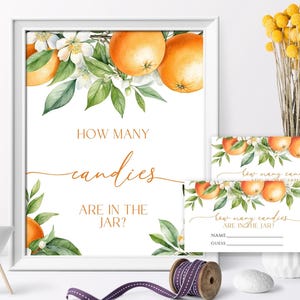 Hoeveel snoepjes zitten er in de pot? Spel | Bewerkbare babyshowerspelset met sinaasappel-citrusbloemen | Afdrukbare bord- en antwoordkaarten Summer Baby Bash
