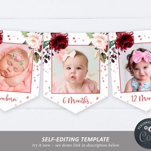Banner fotográfico mensal Marsala e Rose Gold, modelo EDITÁVEL, banner para recém-nascidos - 12 meses, bandeiras de primeiro aniversário para impressão, cartões rosa cor de vinho