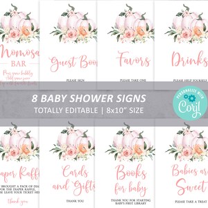 Pumpkin Baby Shower Sign Pack, 100% Editable, Custom Package Bundle, Printable Baby Sprinkle Tea Sign 8x10, Birthday Set, INSTANT DOWNLOAD