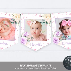 Lavendel Creme Monatsfoto Banner, EDITIERBARE Vorlage, Neugeborene - 12 Monate Banner, druckbare Erster Geburtstagsflaggen, Rose Gold Konfetti