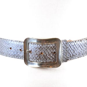 以下が含まれることがあります： シルバーのヘビ革ベルトにシルバーのバックルが付いたベルト。本革製で、クラシックなデザインです。