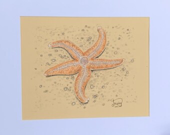 Sea star drawing | Etsy