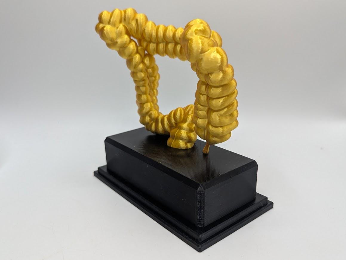 Corpse Trophy Personalised Intestine Trophy, Colon Shaped Award, Custom Trophy Gift ...
