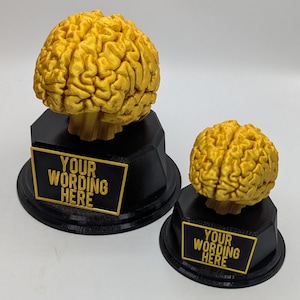 Personalised Brain Trophy, Big Brain Trophy, Best Quizzer Trophy, Clever Award Gift, Biggest Brain Trophy, Brain Award, Knowledge Trophy