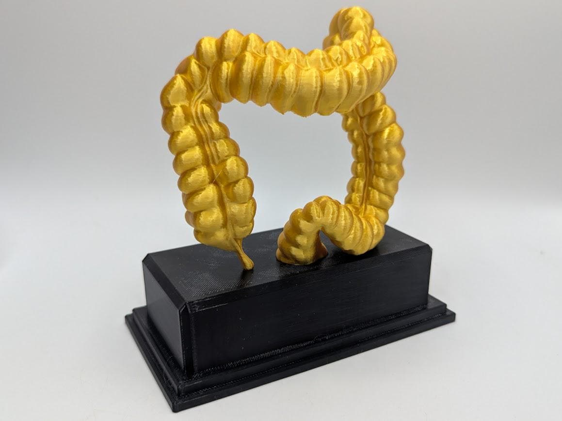 Corpse Trophy Personalised Intestine Trophy, Colon Shaped Award, Custom Trophy Gift ...