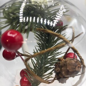 May include: A clear glass spherical ornament featuring a gold-toned cap and a hanging loop. Inside the hollow sphere are green artificial pine needles, small bright red berries, a brown pinecone, and thin, twisted brown paper-like decorative strips.