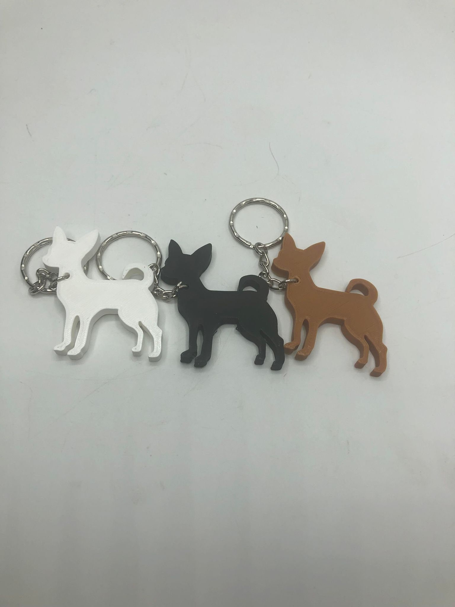 CHIHUAHUA - Il CANE più coraggioso del mondo - tutto sulla RAZZA, image size:1536x2048