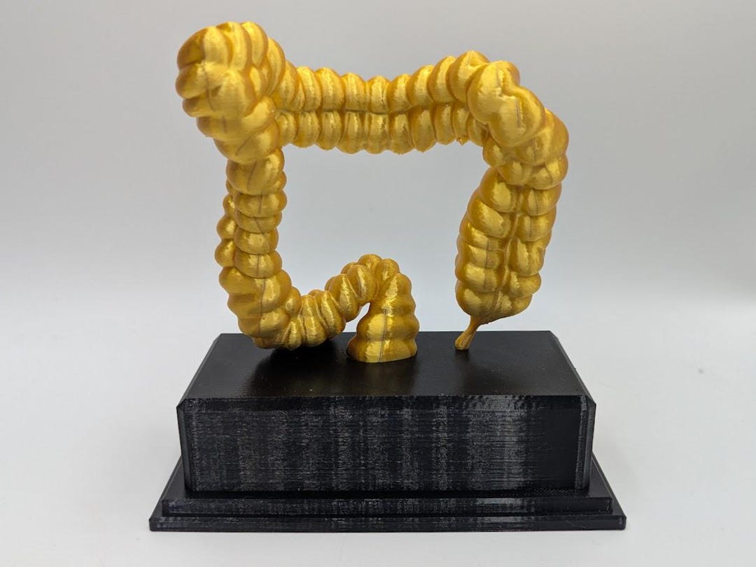 Corpse Trophy Personalised Intestine Trophy, Colon Shaped Award, Custom Trophy Gift ...