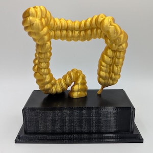 May include: A gold-colored, 3D-printed model of a colon, mounted on a black rectangular base. The colon model is detailed with textured surfaces, and the base has a textured, ridged appearance. The sculpture is set against a plain white background.