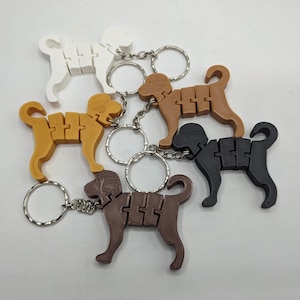 May include: Five different coloured plastic dog keychains. The keychains are connected together with a silver metal ring. The dogs are brown, black, white, and two shades of brown.