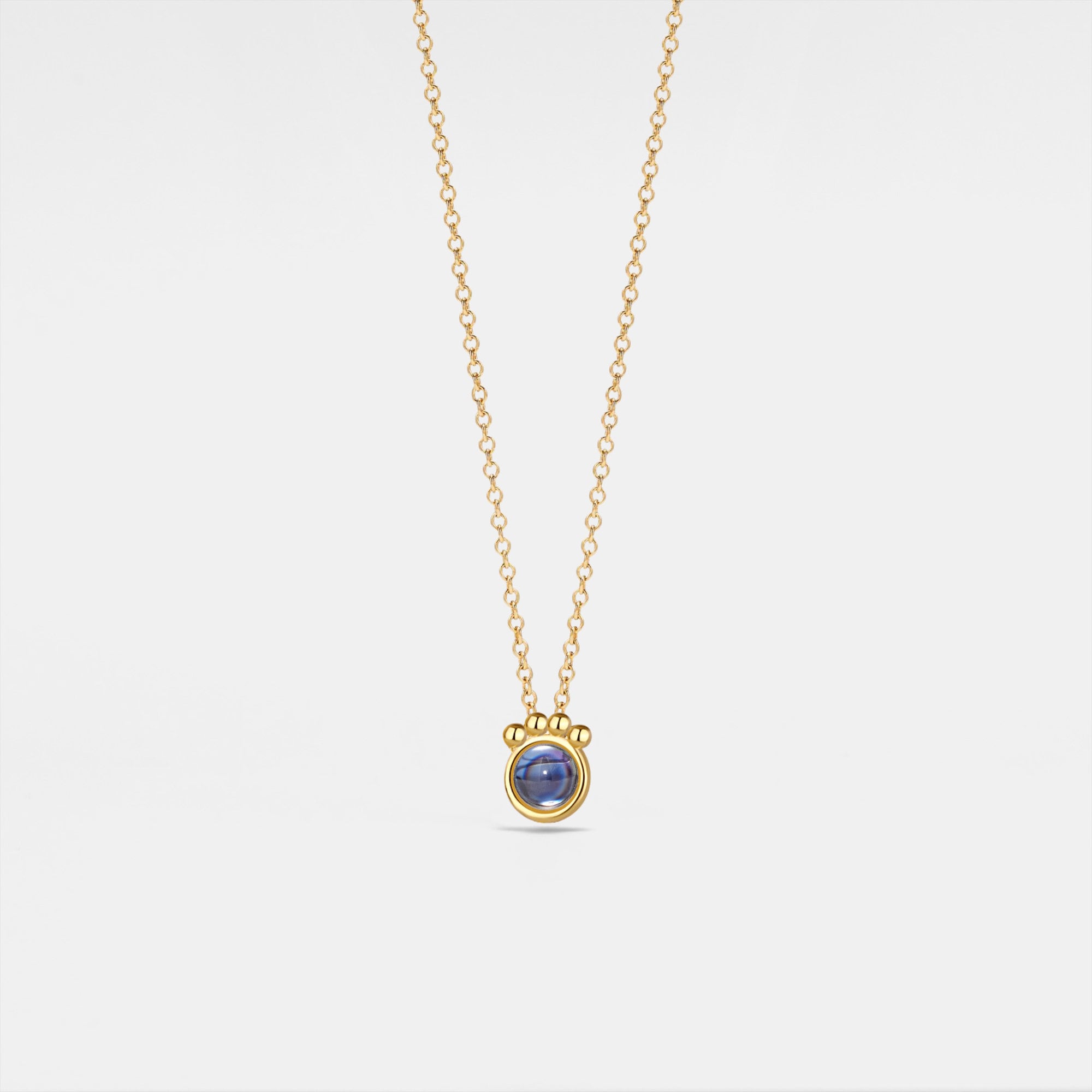 PERIMADE Paw Print Projection Necklace • Personalized Picture Inside Pendant • Minimalist Pet Memorial Jewelry • Trendy Best Friend Gift