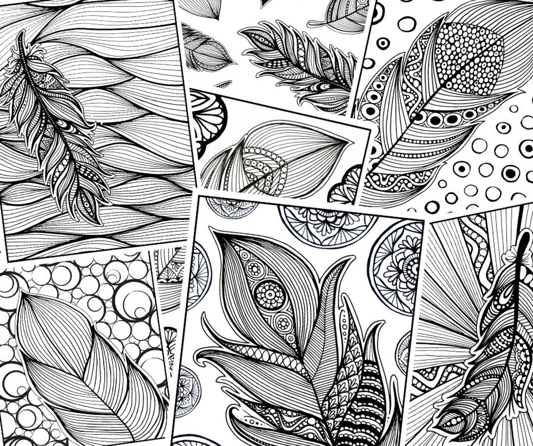 20 Mandala Illustrations on the Theme of Feathers to Print - Etsy