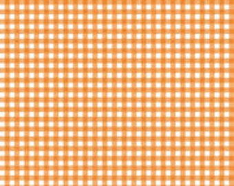 Pumpkin Patch by J. Wecker Frisch for Riley Blake - C14574 -Orange - Fabric By The Yard - FA191