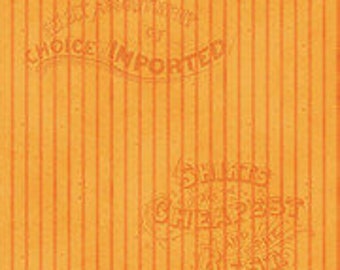 Pumpkin Patch by J. Wecker Frisch for Riley Blake - C14581 - Fabric By The Yard - FA188