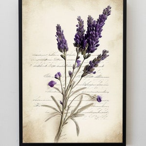 May include: A vintage-style print of purple lavender flowers on a cream background with handwritten text.