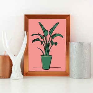 Bold Plant Print, Illustrated Wall Art, Colourful House Plant Print, Unframed Botanical Wall Art, Home Decor, Pop Art Style Print