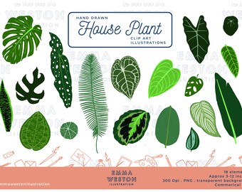 House Plant Clipart - House Plant leaves digital illustration - jungle leaves clipart bundle - Clipart for commercial use - Transparent PNGs