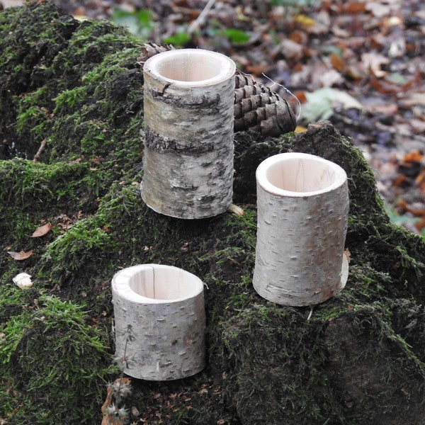 Ensemble de bouleau rustique de trois vases