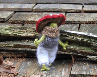 Puede incluir: Una rana de punto con un sombrero de seta rojo y blanco y una bufanda marrón. La rana está de pie sobre una superficie de madera.